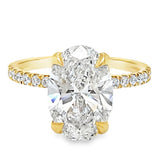 3.55TCW Oval Diamond Pavé Ring
