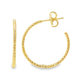 18K Gold Plated Dainty Textured Hoops